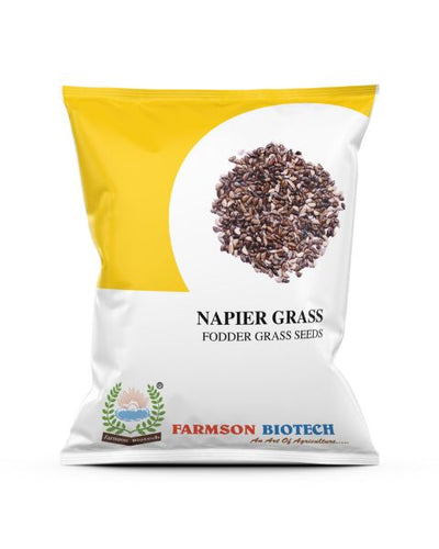 FARMSON NAPIER GRASS SEEDS