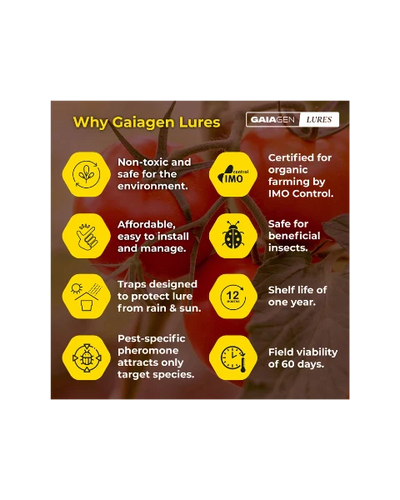 GAIAGEN PHEROMONE LURE FOR TOMATO LEAFMINER