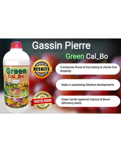 GASSIN PIERRE GREEN LABEL CAL_BO