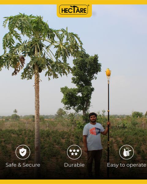 HECTARE PAPAYA PICKER IMPLEMENTS