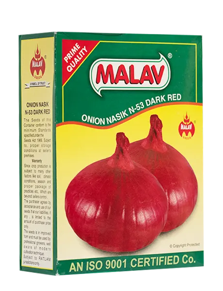 MALAV NASIK RED ONION SEEDS N-53