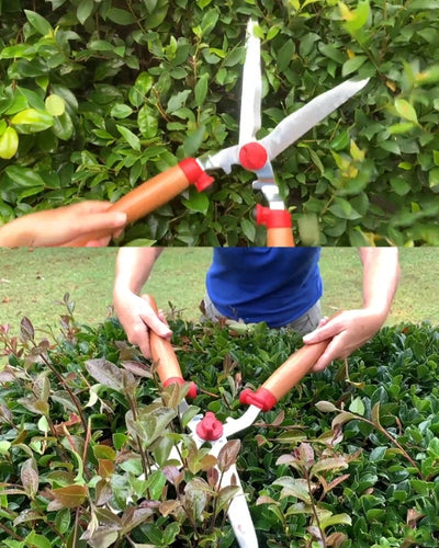 WOLF GARTEN HEDGE SHEAR WITH WOODEN HANDLE