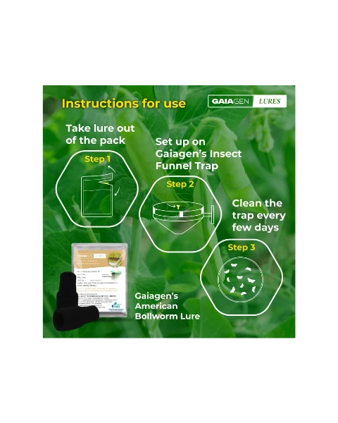 GAIAGEN PHEROMONE LURE FOR AMERICAN BOLLWORM