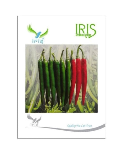 IRIS HYBRID VEGETABLE SEEDS GREEN CHILLI