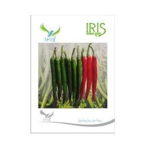 IRIS HYBRID VEGETABLE SEEDS GREEN CHILLI