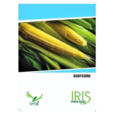 IRIS HYBRID OP BABY CORN VEGETABLE SEEDS