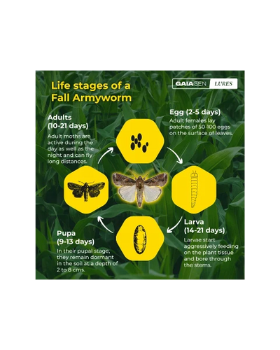 GAIAGEN PHEROMONE LURE FOR FALL ARMYWORM