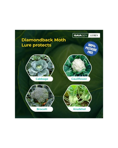 GAIAGEN PHEROMONE LURE FOR DIAMONDBACK MOTH