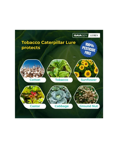 GAIAGEN PHEROMONE LURE FOR TOBACCO CATERPILLAR