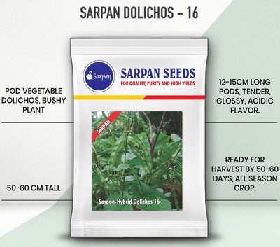 SARPAN-16 DOLICHOS SEEDS