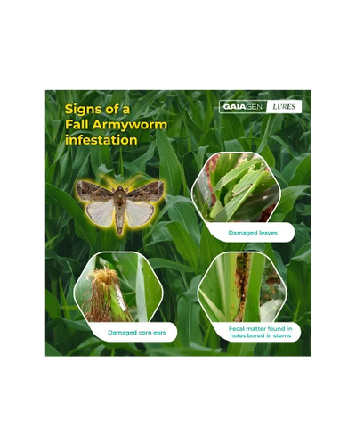 GAIAGEN PHEROMONE LURE FOR FALL ARMYWORM