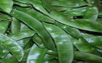 SARPAN ALL SEASON VEGETABLE DOLICHOS -27 BUSH