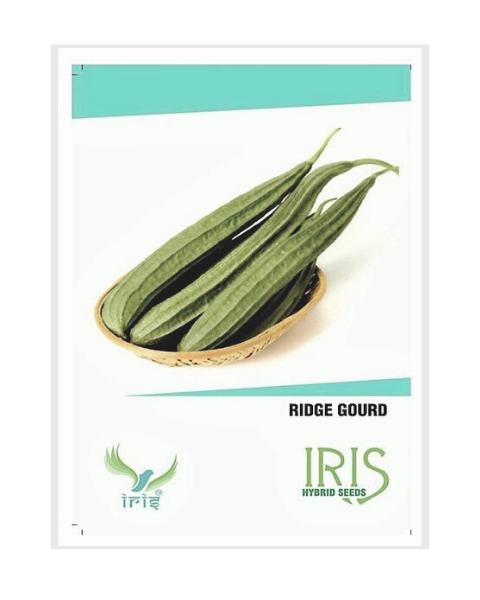 IRIS HYBRID VEGETABLE SEEDS RIDGE GOURD