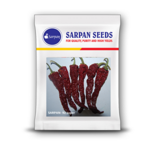 SARPAN F1 92 CHILLI SEEDS