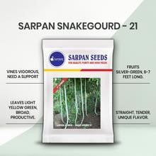 SARPAN HYBRID SNAKE GOURD-21