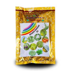 ADVANTA RAINBOW KIT