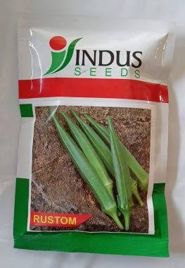 INDUS OKRA RUSTOM SEEDS