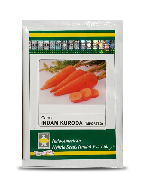 INDAM KURODA CARROT