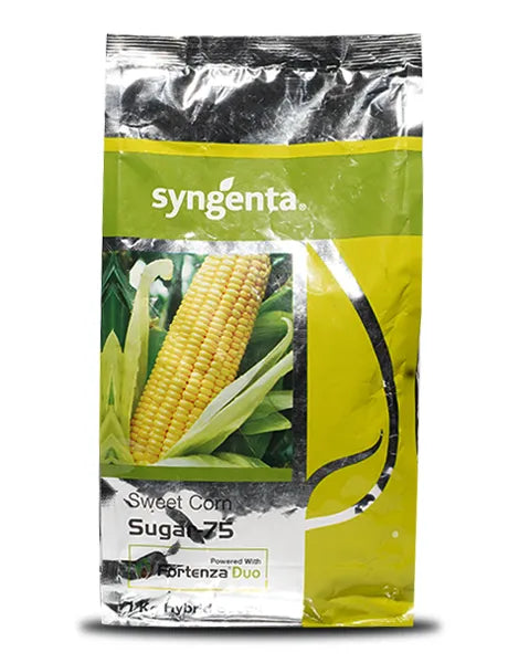 SUGAR 75 SWEET CORN