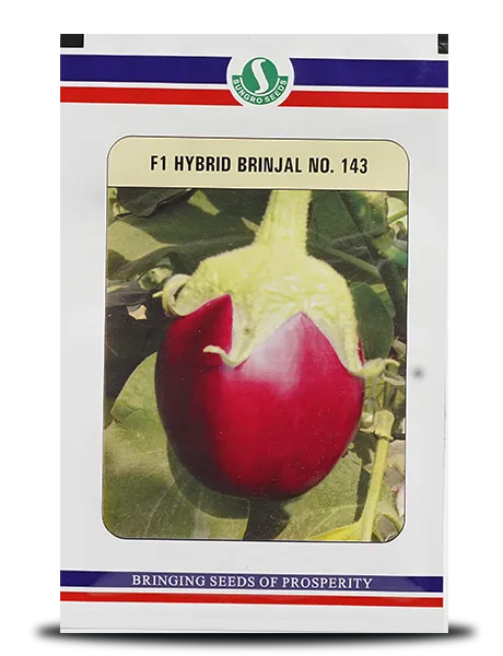 BRINJAL No. 143