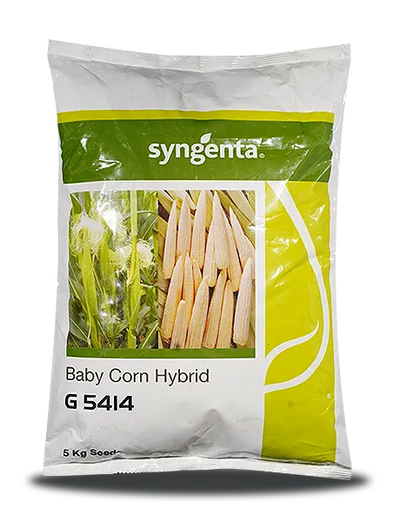 G5414 BABYCORN SEEDS