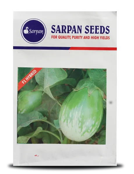 SARPAN BRINJAL KUDACHI 501 HYBRID SEEDS