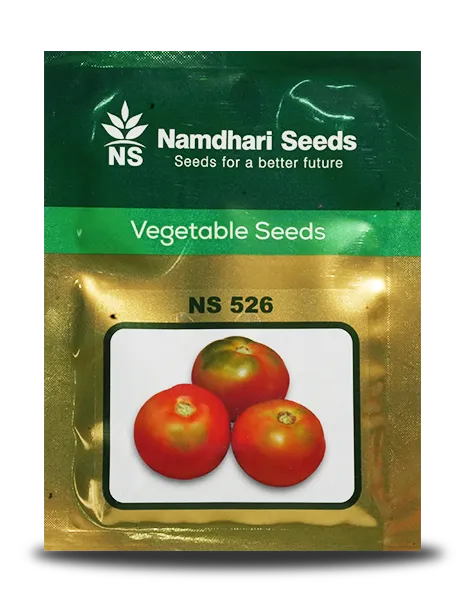 NS 526 TOMATO SEEDS