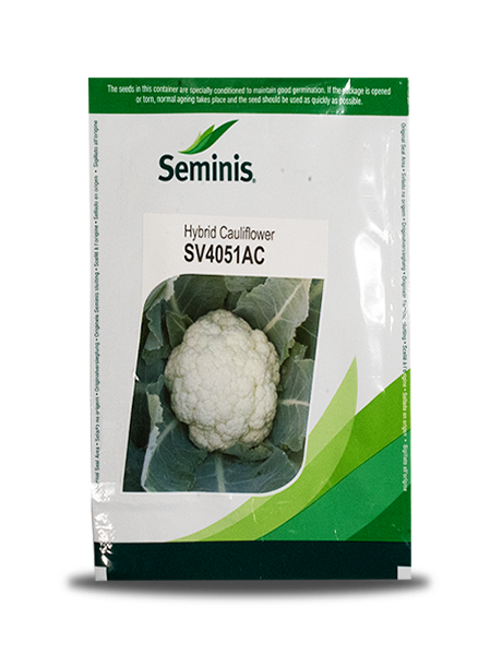 SV4051AC CAULIFLOWER SEEDS