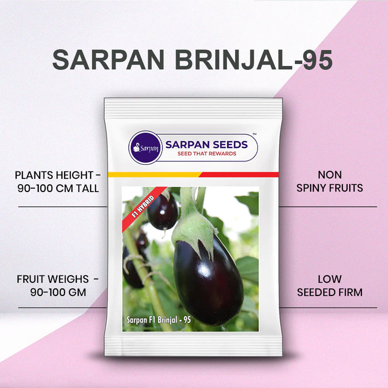 SARPAN HYBRID F1 BRINJAL-95