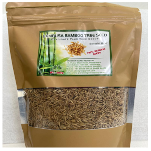 PIONEER AGRO BAMBUSA BAMBOO TREE SEED