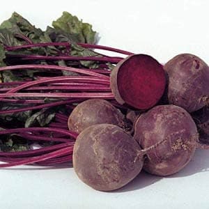 BORO BEETROOT