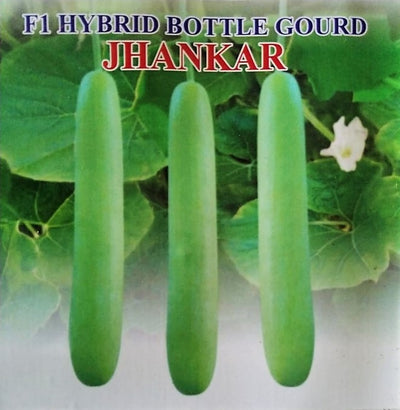 IRIS HYBRID VEGETABLE SEEDS F1 HYBRID BOTTLE GOURD JHANKAR