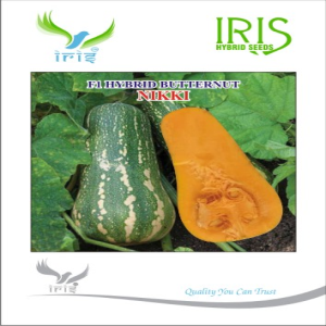 IRIS HYBRID FRUIT SEEDS F1 HYBRID BUTTERNUT NIKKI