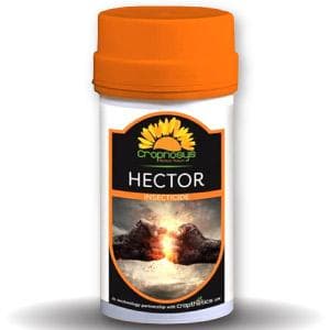 Hector Insecticide