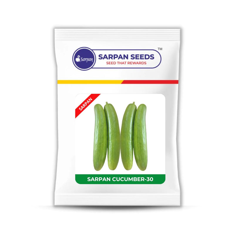 SARPAN HYBRID CUCUMBER - 30 SEEDS