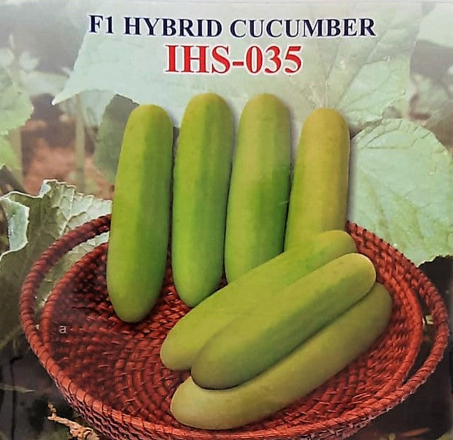 IRIS HYBRID VEGETABLE SEEDS F1 HYBRID CUCUMBER IHS-035