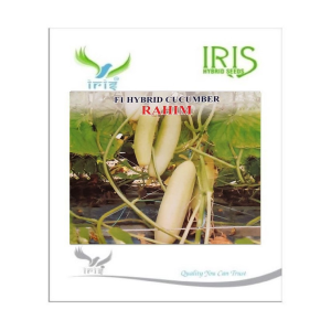 IRIS HYBRID VEGETABLE SEEDS F1 HYBRID CUCUMBER RAHIM