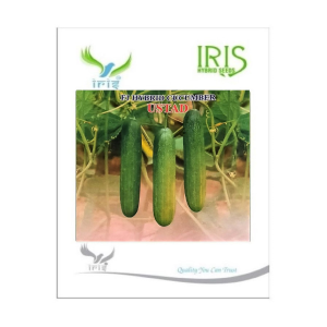 IRIS HYBRID VEGETABLE SEEDS F1 HYBRID CUCUMBER USTAD