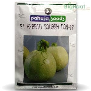 DON 17 SQUASH