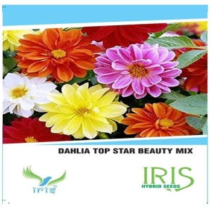 IRIS HYBRID FLOWER SEEDS ZINNIA DAHLIA MIX