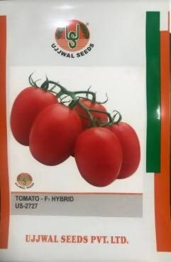 UJJWAL TOMATO US 2727 F1 HYBRID SEEDS