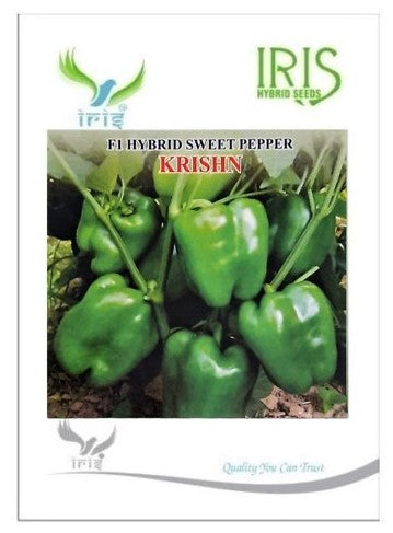 IRIS HYBRID GREEN CAPSICUM - KRISHN