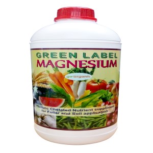 GASSIN PIERRE GREEN LABEL MAGNESIUM