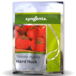 SYNGENTA HARD ROCK TOMATO SEEDS