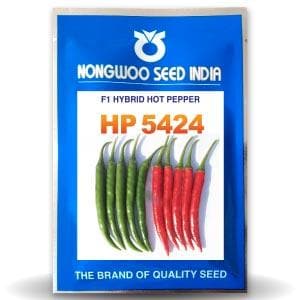 HP5424 CHILLI SEEDS