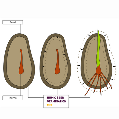 HUMIC SEED GERMINATION SPRAY FOR HOME GARDEN