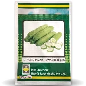 INDAM SWADISHT CUCUMBER SEEDS