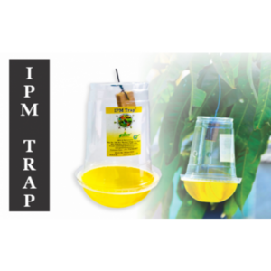 TAPAS FRUIT FLY TRAP IPM TRAP