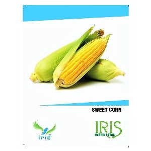 IRIS HYBRID SWEET CORN SEEDS