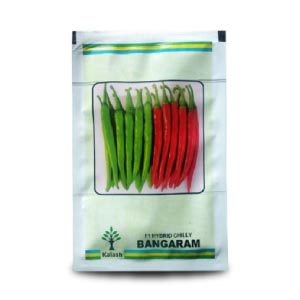 BANGARAM F1 HYBRID CHILLI